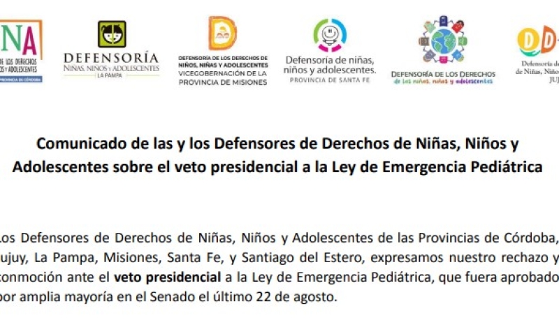Defensores y Defensoras sobre el veto a la Ley de Emergencia Pediátrica